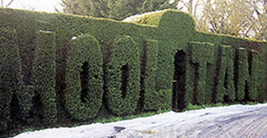 Mooltan House Hotel Hepburn Springs Exterior foto